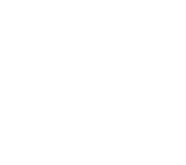 ZF-IT Automation